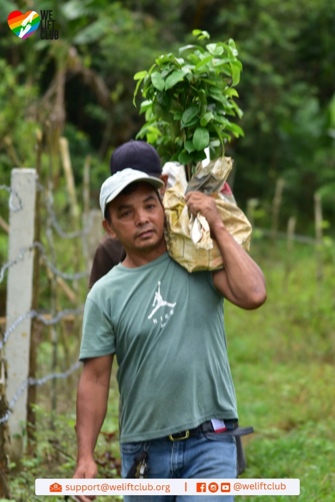 Volunteer carrying a sack of tree saplings to the planting area